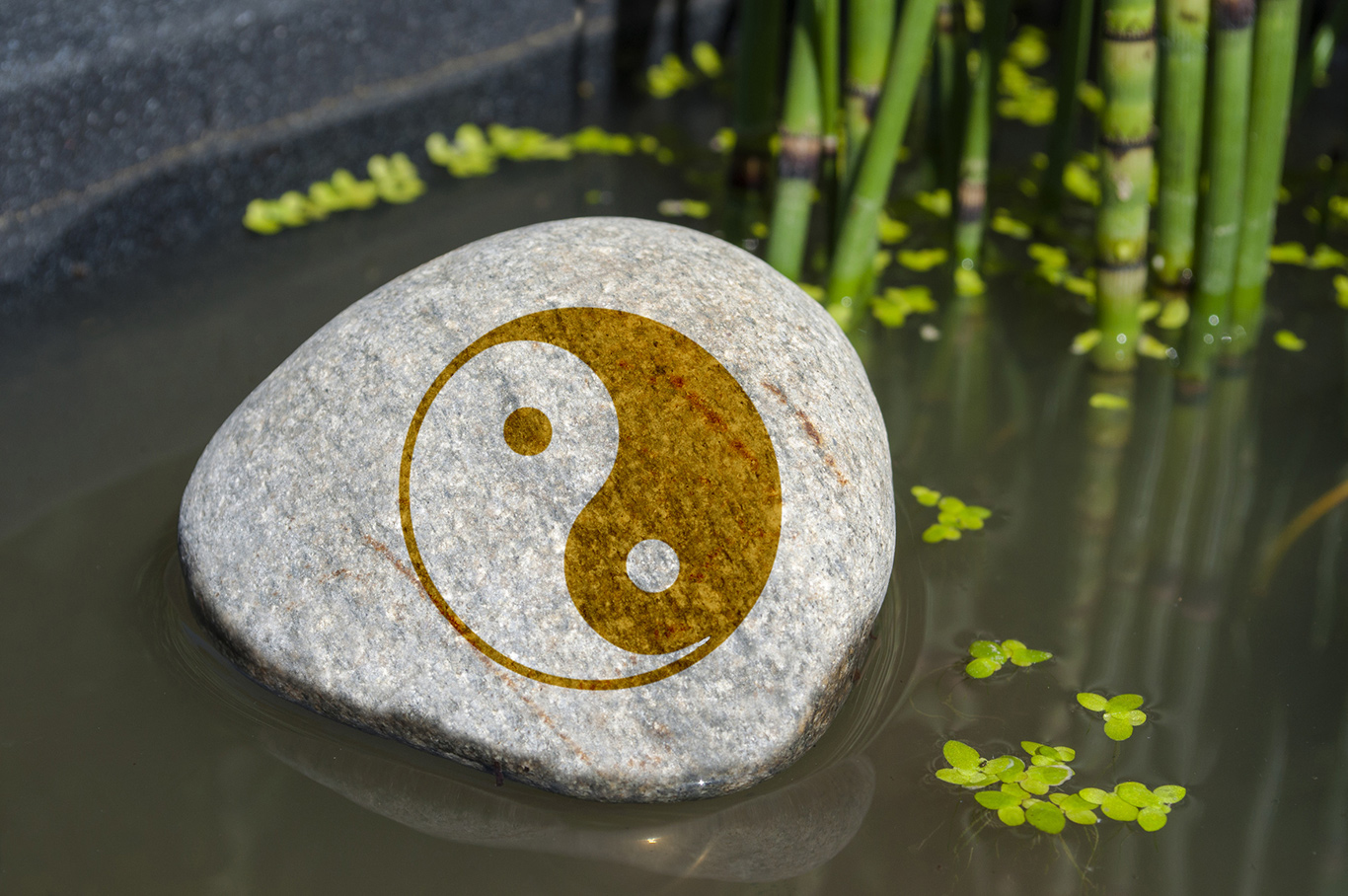 Yin und Yang symbolisieren das Wechselspiel der Krräfte
